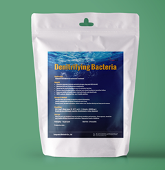denitrifying bacteria.png