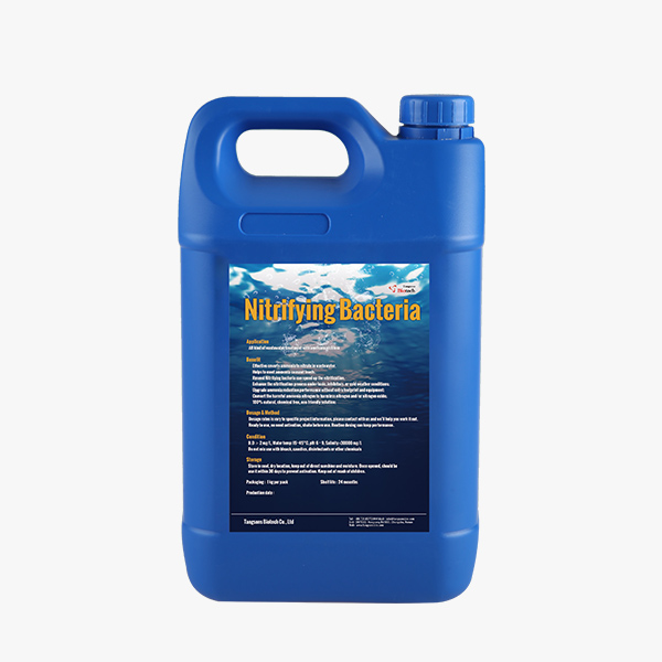 Wastewater Ammonia Removal - Nitrifying Bacteria