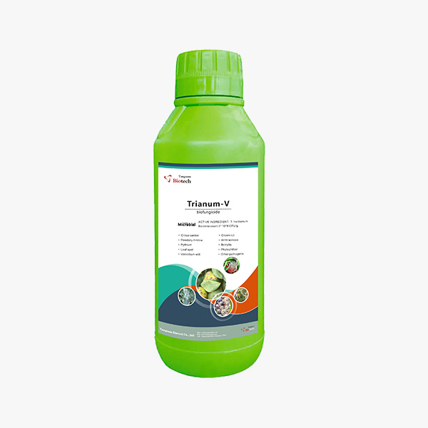 Trianum-V, trichoderma harzianum, foliar fungicide, foliar spray, biofungicide, biological fungicide,  leaf disease, citrus canker, powdery mildew, blight, anthracnose