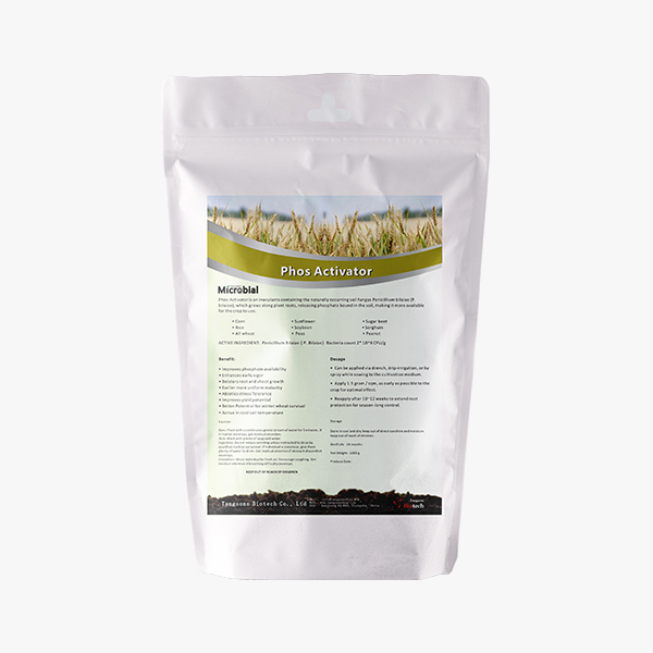 Phos Activator,  Penicillium bilaiae, microbial inoculant, releasing phosphate, Phosphate solubilization, phosphate fertilizer, phosphate solubilizing bacteria, phosphate for plants, phosphorus based fertilizer