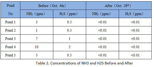 Odor result 3.png