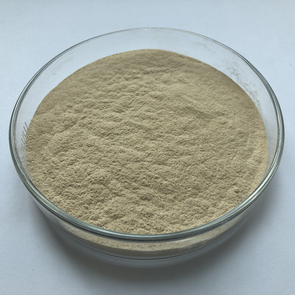 Clostridium Butyricum Product