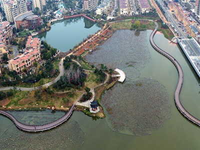 Pond Algae Control