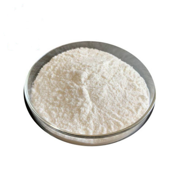 Lactobacillus Plantarum Probiotic